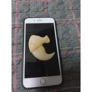 Móng vuốt cọp nhân tạo 6.2cm