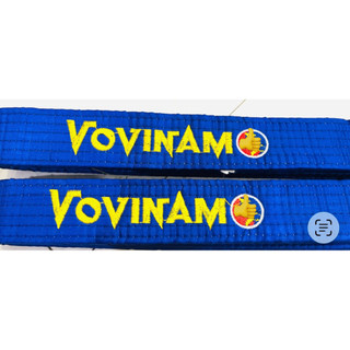 Lam đai Vovinam - Phong trào