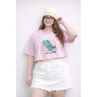 áo thun croptop BIGSIZE nhiều mẫu (VYMAPSHOPBIGSIZE)