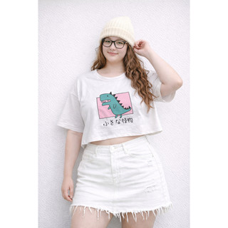 áo thun croptop BIGSIZE nhiều mẫu (VYMAPSHOPBIGSIZE)