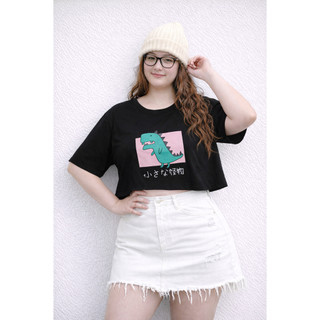 áo thun croptop BIGSIZE nhiều mẫu (VYMAPSHOPBIGSIZE)