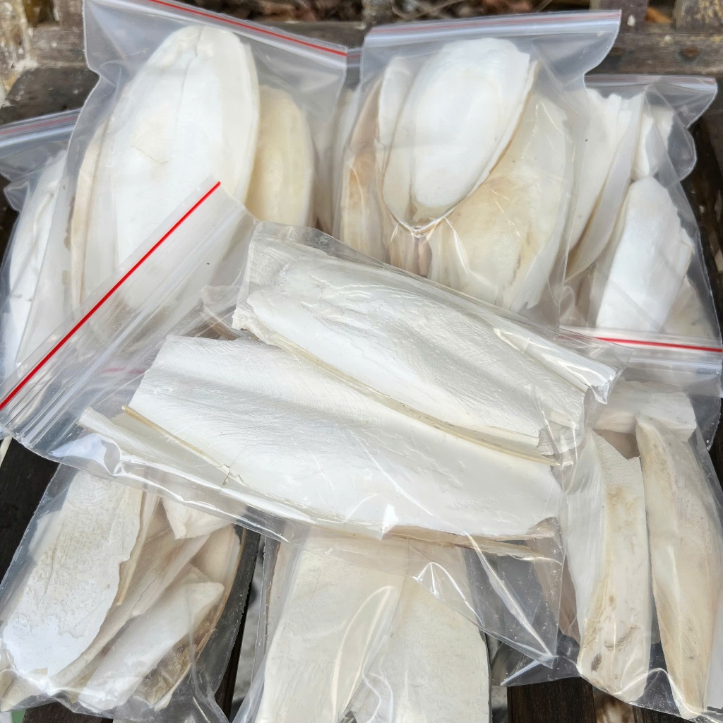 Vụn Mai Mực/Nang Mực/Thức Ăn Bổ Sung Canxi, Mài Răng Cho Chim, Vẹt, Hamster, Sóc, Rùa,…