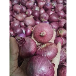 1kg Hành Tím / Hành Tây Tím Ấn Độ - tím đậm (vụ mới) cay nồng, không nhánh
