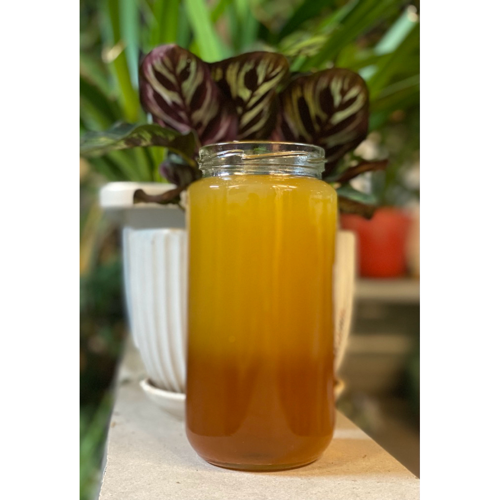 kefir nước dừa lên men với mật ong