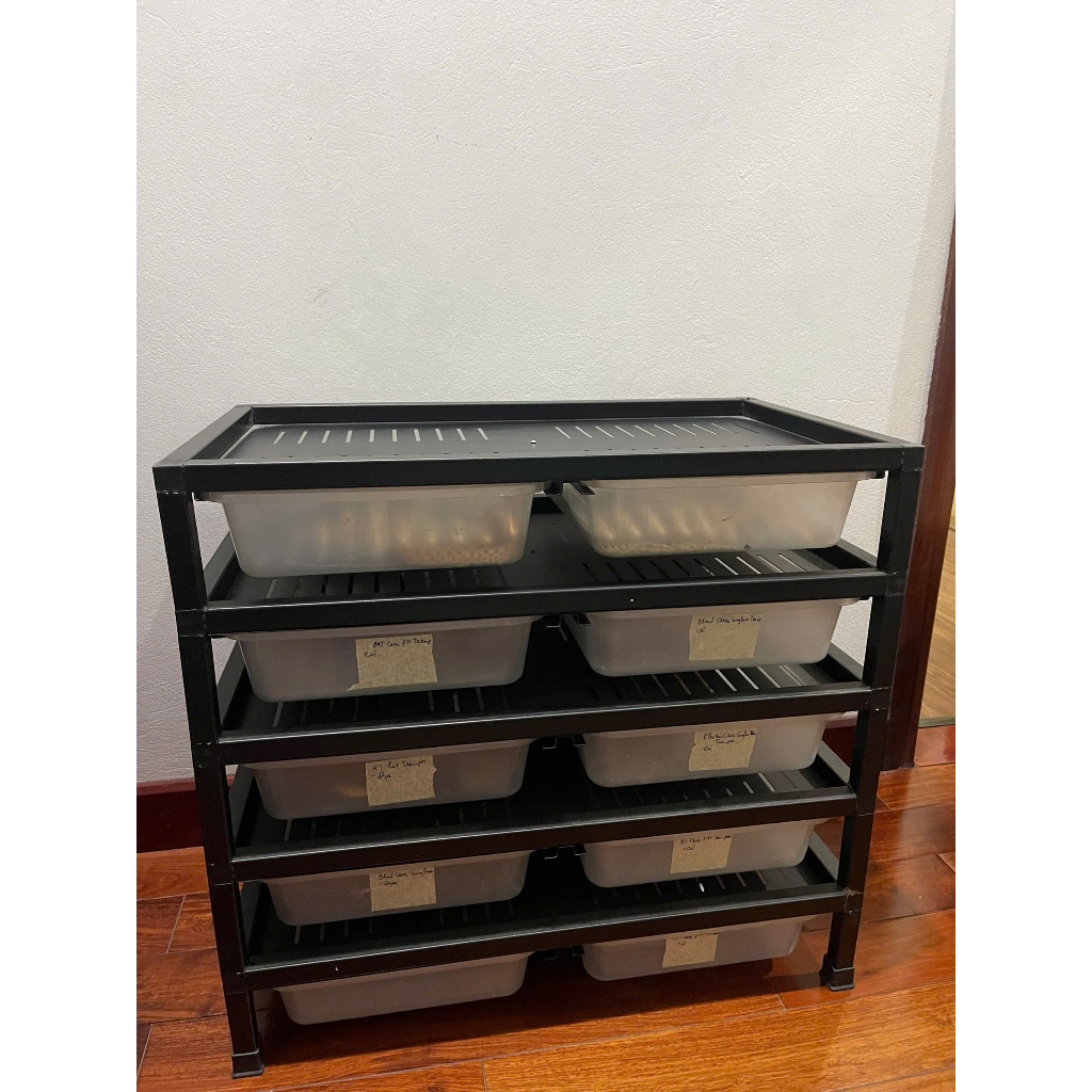 Rack nuôi bò sát A4, chuồng nuôi nhiều tầng nuôi trăn rắn, thằn lằn, thú cưng nhỏ