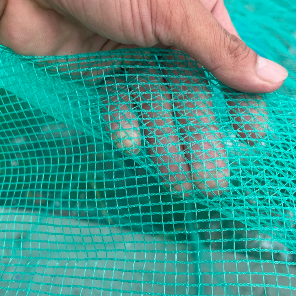 Combo Dài 10m - Cao 1m  Lưới Cước xanh 3,5ly dùng làm vèo, rào gà vịt, rào vườn, phơi nông sản...