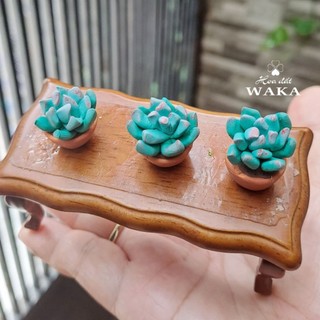 Mô Hình Chậu Sen Đá Mini 01 Tỉ Lệ 1/12