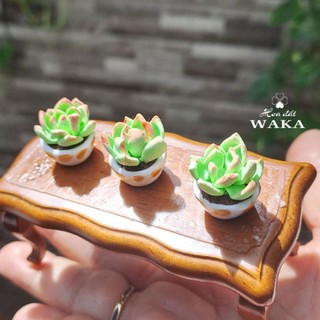 Mô Hình Chậu Sen Đá Mini 01 Tỉ Lệ 1/12