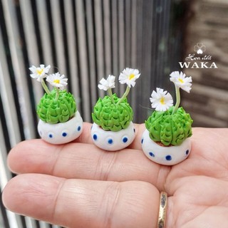 Mô Hình Chậu Sen Đá Mini 01 Tỉ Lệ 1/12
