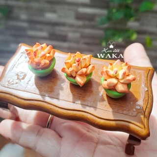 Mô Hình Chậu Sen Đá Mini 01 Tỉ Lệ 1/12