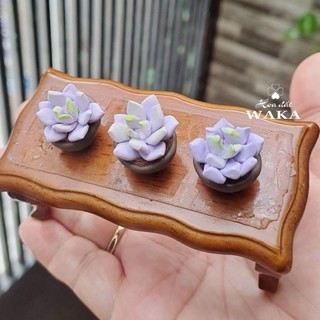 Mô Hình Chậu Sen Đá Mini 01 Tỉ Lệ 1/12