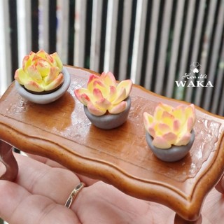 Mô Hình Chậu Sen Đá Mini 01 Tỉ Lệ 1/12