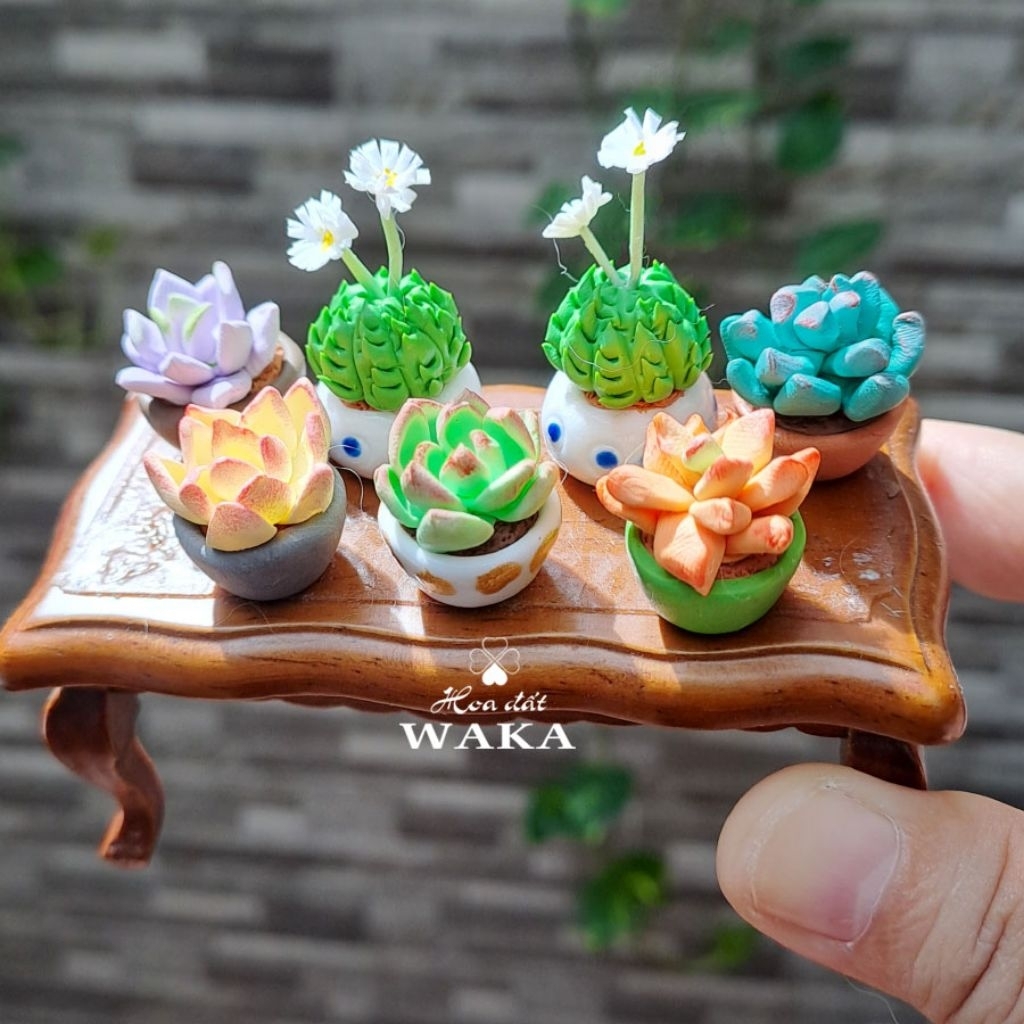 Mô Hình Chậu Sen Đá Mini 01 Tỉ Lệ 1/12