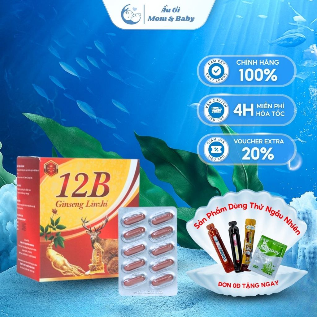 [CHÍNH HÃNG] Viên uống 12B Ginseng Linzhi Giúp Bổ Sung Sức Khỏe, Tăng Cường Sức Đề Kháng - Hộp 100 v