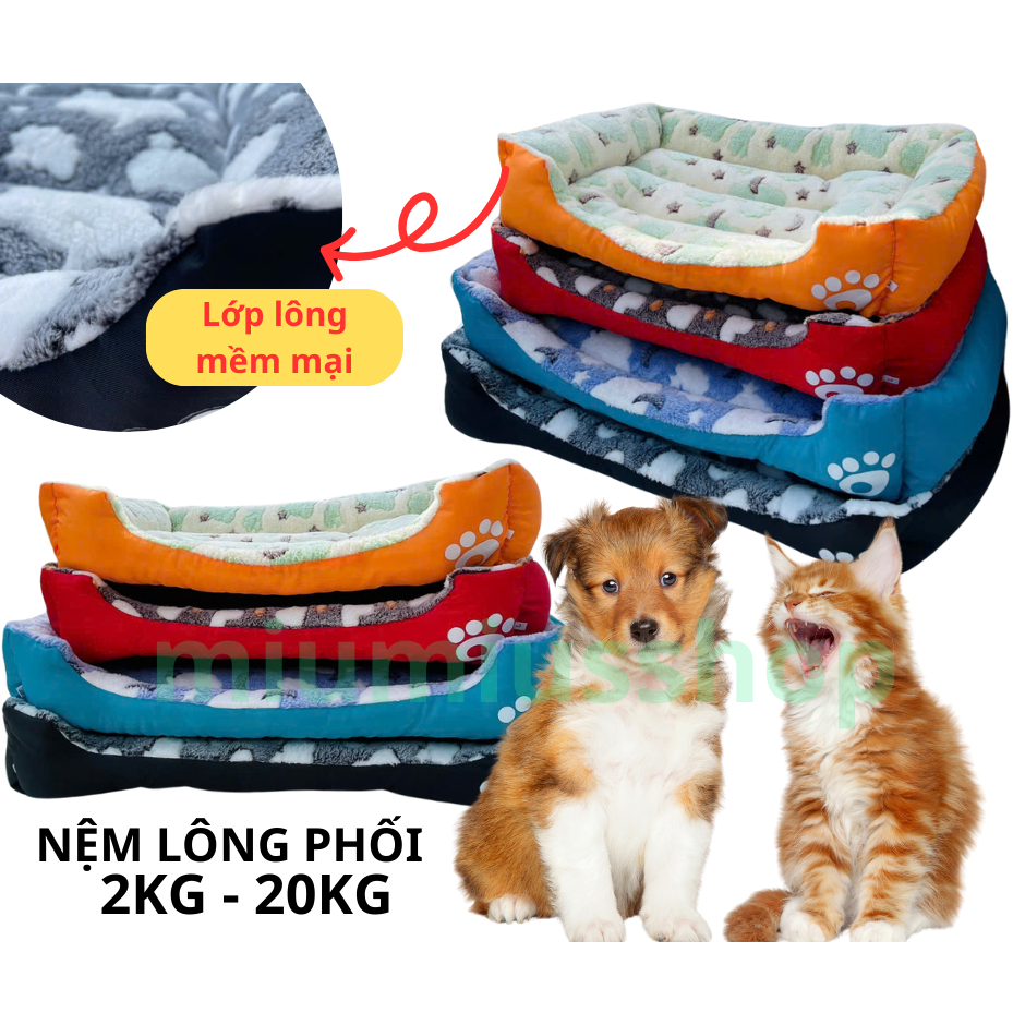(NỆM BÀN CHÂN PHỐI) Nệm vải lông cao cấp phối  lông nhiều màu xinh xắn chó chó mèo  dưới<35kg