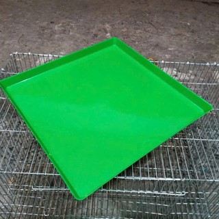 Combo 2 KHAY NHỰA 60 VUÔNG HỨNG PHÂN CHIM, PHÂN GÀ LOẠI DẺO