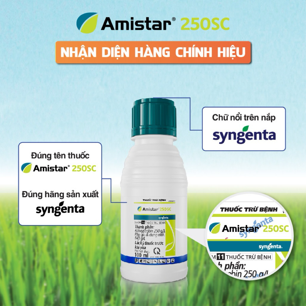 Amistar® 250SC Chính hãng Syngenta Chai 100ml - Thuốc Trừ Bệnh Thế Hệ Mới Cho Cây Trồng - Azoxystrob