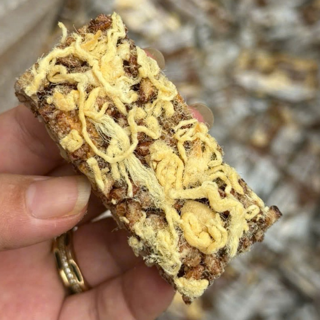 THANH GẠO LỨC CHÀ BÔNG TÚI 500gr