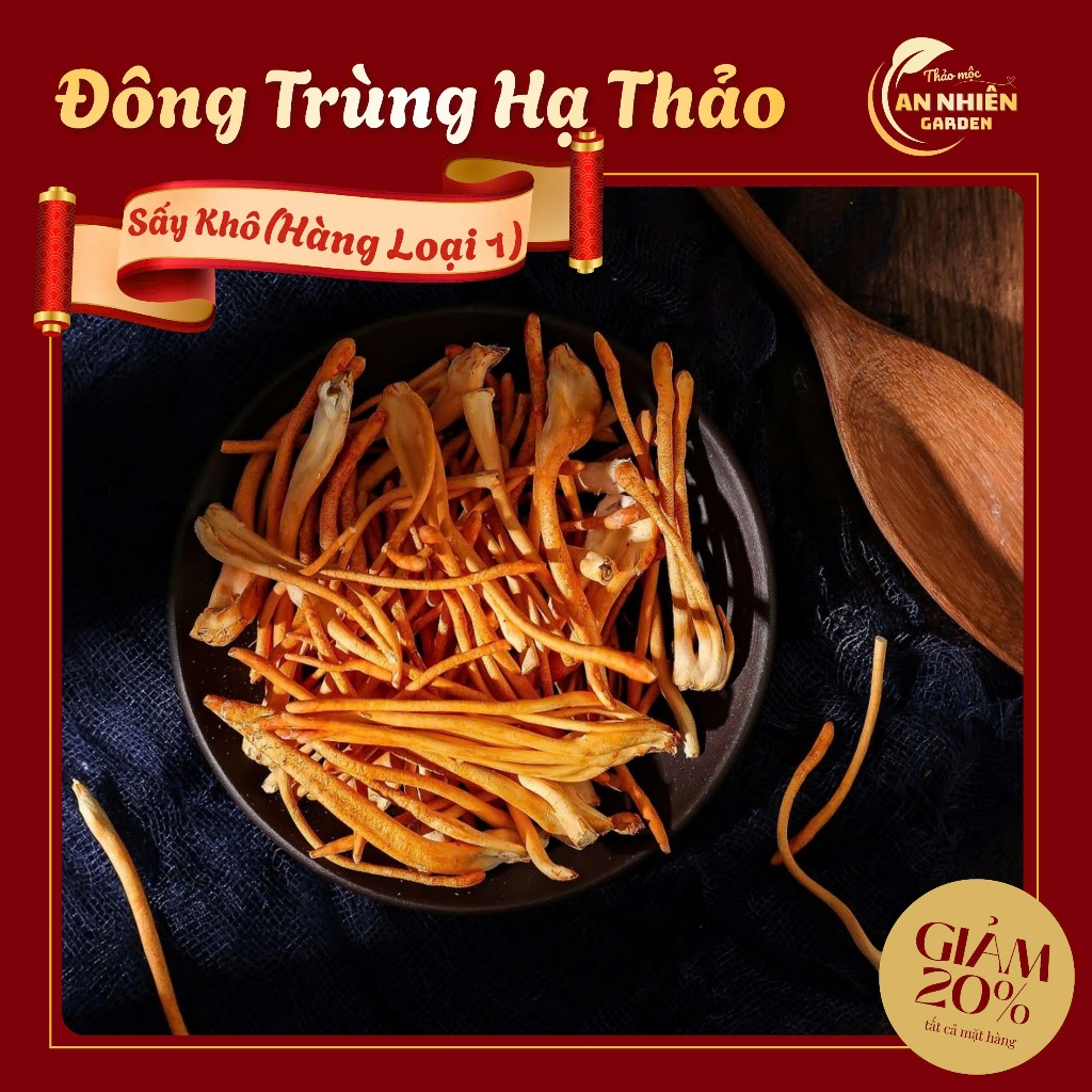 Nấm Đông Trùng Hạ Thảo Khô – Sấy Lạnh Giữ Dinh Dưỡng – Nguyên Sợi – Thảo Mộc An Nhiên Garden