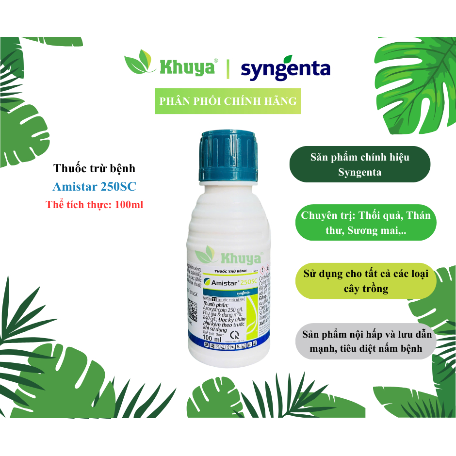 Thuốc trừ bệnh Amistar 250SC 100ml Chính hãng Syngenta