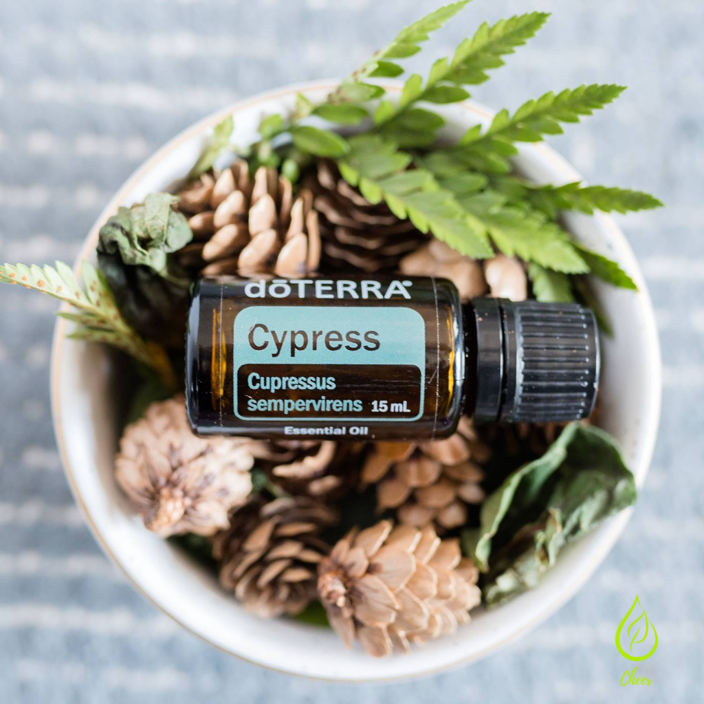 Tinh dầu doTerra Cypress 15ml
