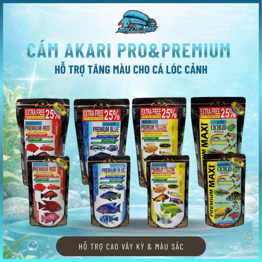 Cám AKARI Pro&Premium Maxi/Red/Yellow/Blue – Hỗ Trợ Tăng Màu Cho Cá Lóc Cảnh,La Hán,Ali,Đĩa,.
