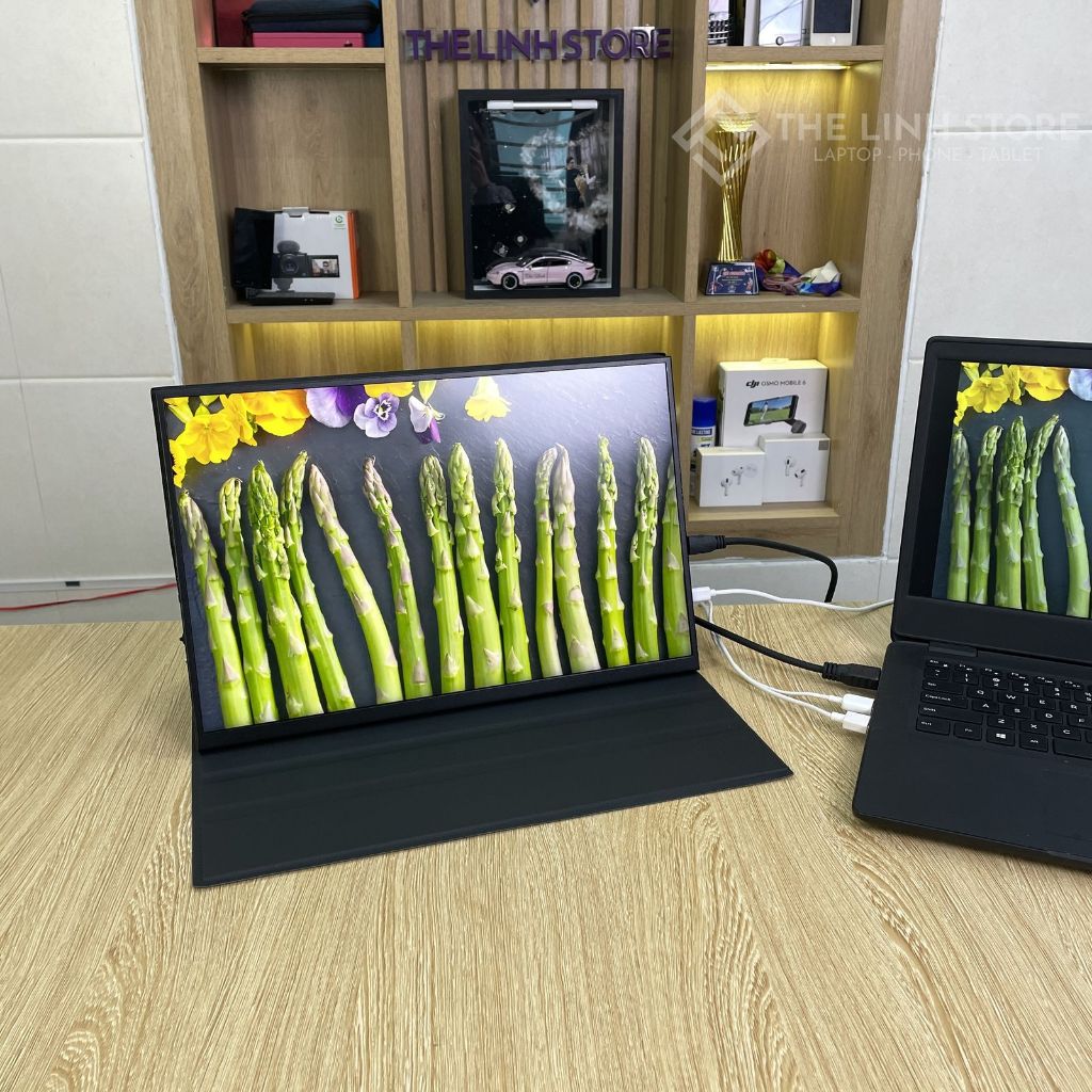 Màn hình di động Thế Linh nhiều cỡ màn - tấm nền IPS 100%sRGB/DCI-P3 FHD/2K/4K Type-C/HDMI Portable Monitor | BigBuy360 - bigbuy360.vn