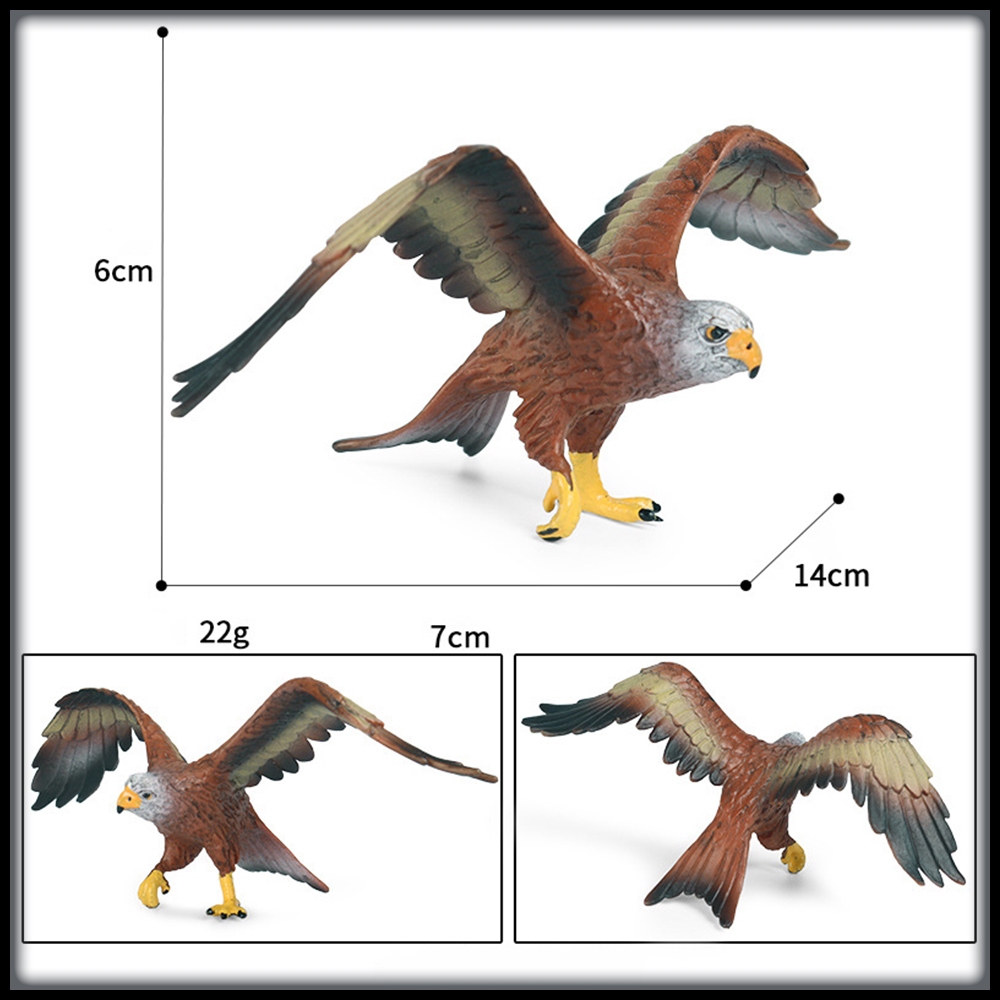 Mô hình động vật con chim đại bàng con chim ưng
