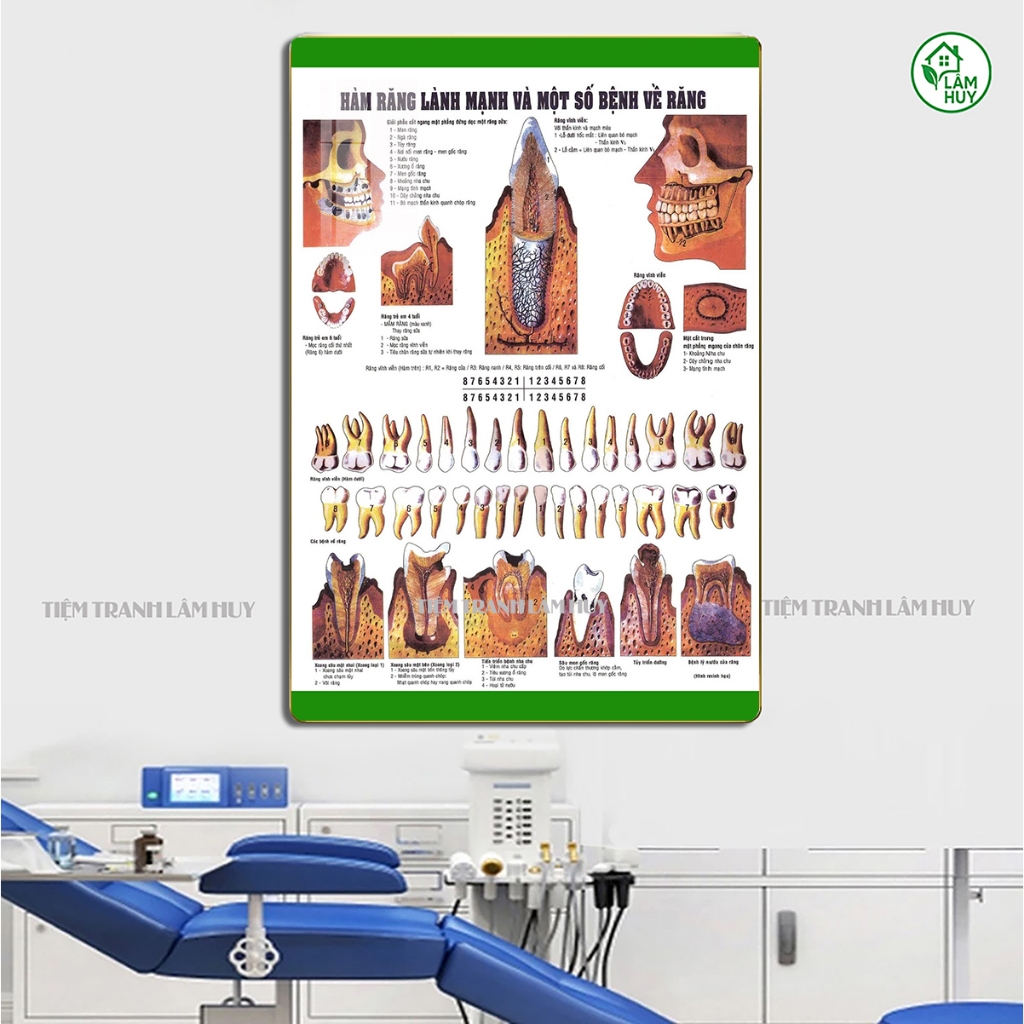 Tranh Phòng Khám Nha Khoa, Phòng khám răng, chỉnh răng, niềng răng - Tranh tráng gương cao cấp