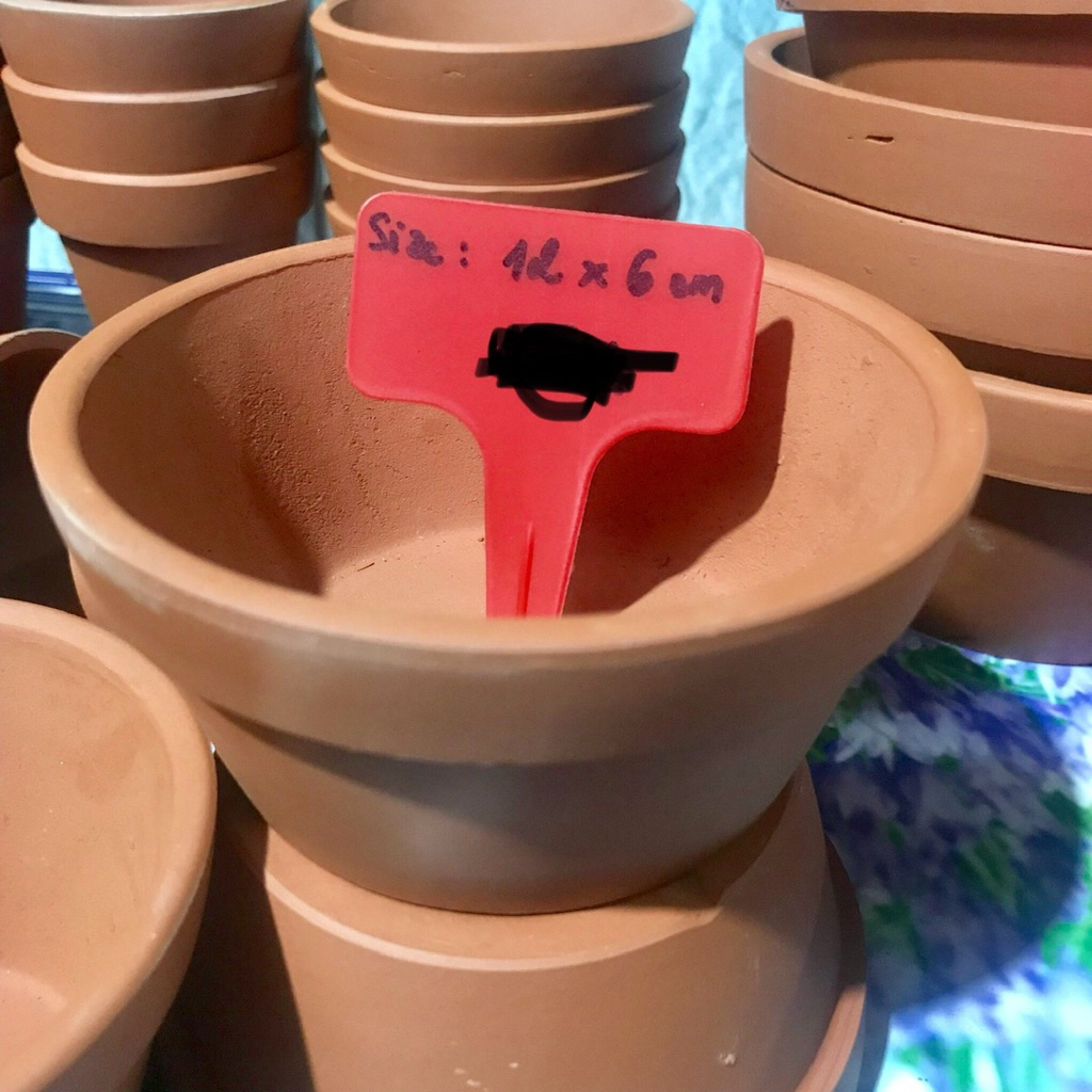 Chậu đất nung 12cm (miệng 12cm cao 6cm) chậu mini trồng sen đá