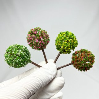 Cây ven đường - terrarium