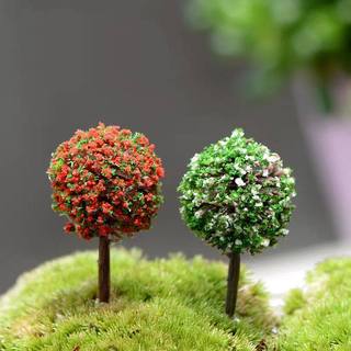 Cây ven đường - terrarium