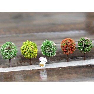 Cây ven đường - terrarium