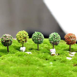 Cây ven đường - terrarium