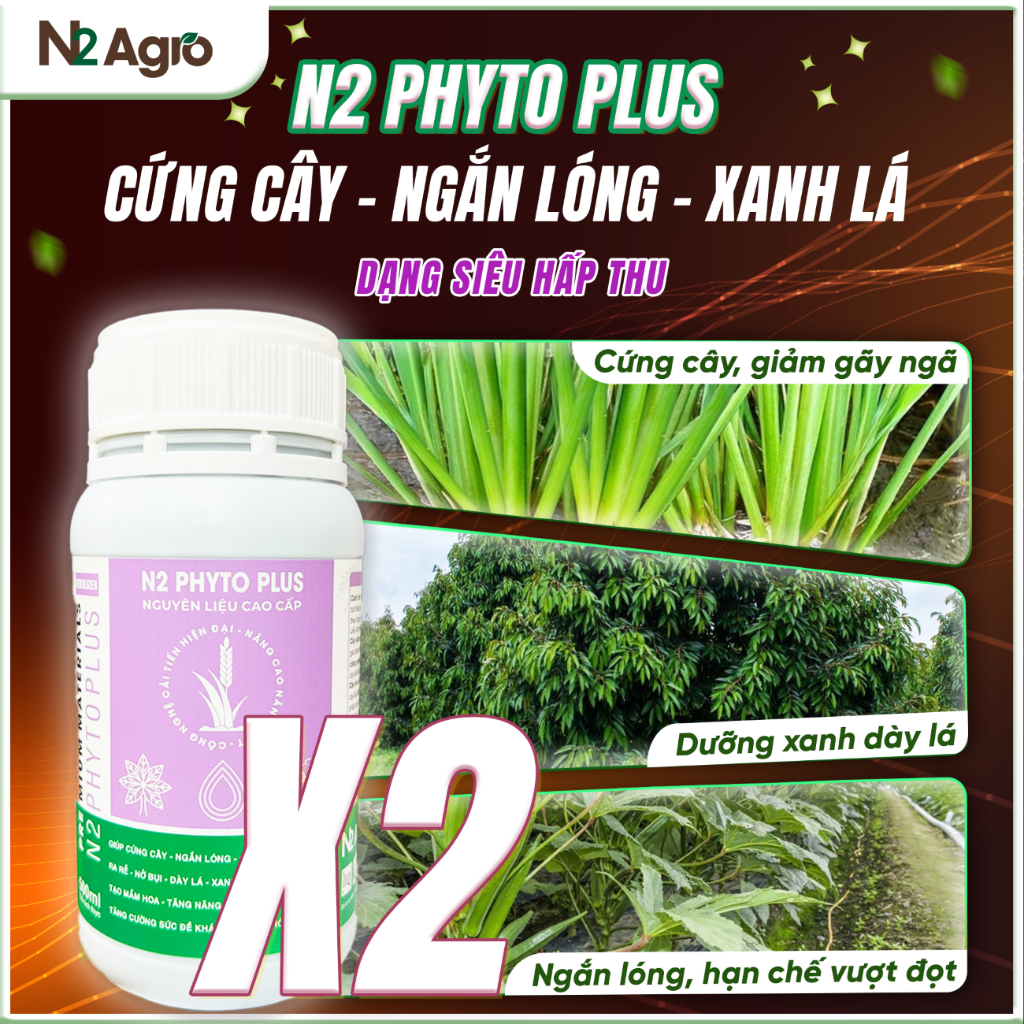 COMBO 2 CHAI Phân Bón N2 Phyto Plus N2 Agro - Thúc Cứng Cây, Ngắn Lóng, Giảm Gãy Ngã 500 ml