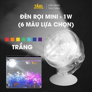   Đèn LED Mini Tròn Trang Trí Bể Cá, Hồ Cá Để Được Dưới Nước - [LED TRÒN]