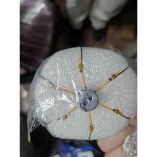Bộ 5 Lưỡi lục siêu nhậy, chân chì