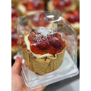 50 hộp mousse kèm dĩa LV 18