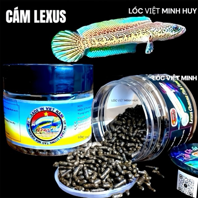Cám lexus channa fish feed -For auranti-cám cao cấp cho nữ hoàng và cho lóc lạnh,khung xương,nan fin