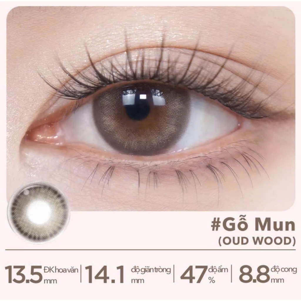 [Pass KOC][NEW Seal] #gỗ mun 0D￼[moody silicone hydrogel] 06 chiếc lens 1 ngày moody  silicone hydro