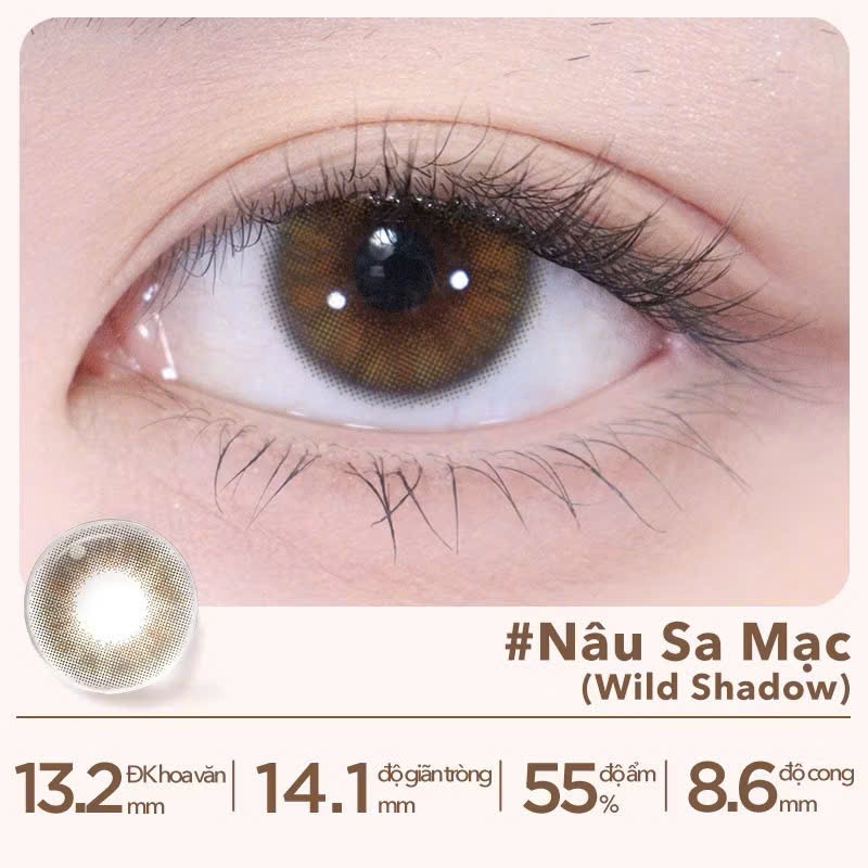 [Pass KOC][NEW Seal][06 chiếc lens 1 ngày] #nâu cát 0D 3 hộp 06 chiếc lens 1 ngày moody Teenage Drea