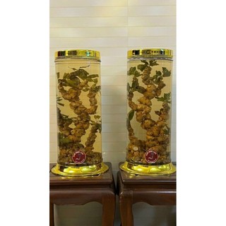 BÌNH SÂM TRỤ 13.8L - 16.8L - 25.8L PHÚ HÒA