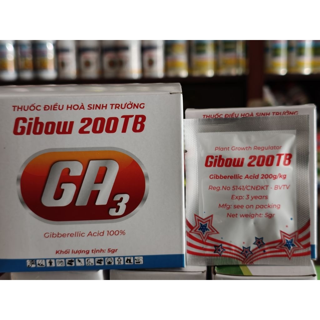 GA3 50TB - 200TB ĐIỀU HÒA SINH TRƯỞNG - LỚN TRÁI - TRÒN TRÁI - CÂY NHANH PHÁT TRIỄN
