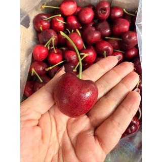 [ JENNY FRUIT ] [ HỎA TỐC ] CHERRY MỸ GIÒN NGỌT