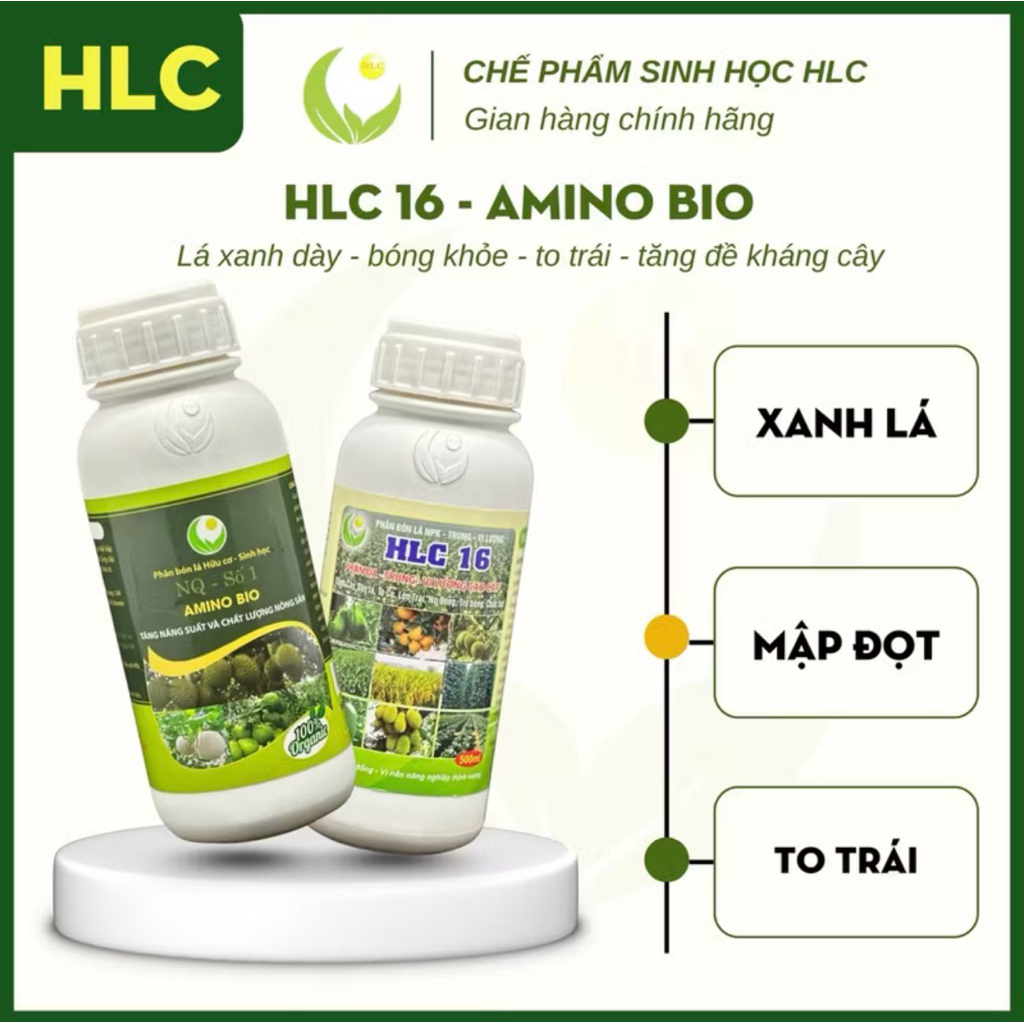 Bộ đôi Chai 500ml PHÂN BÓN HLC 16 và AMINO bật chồi vọt đọt mập cơi xanh dày lá