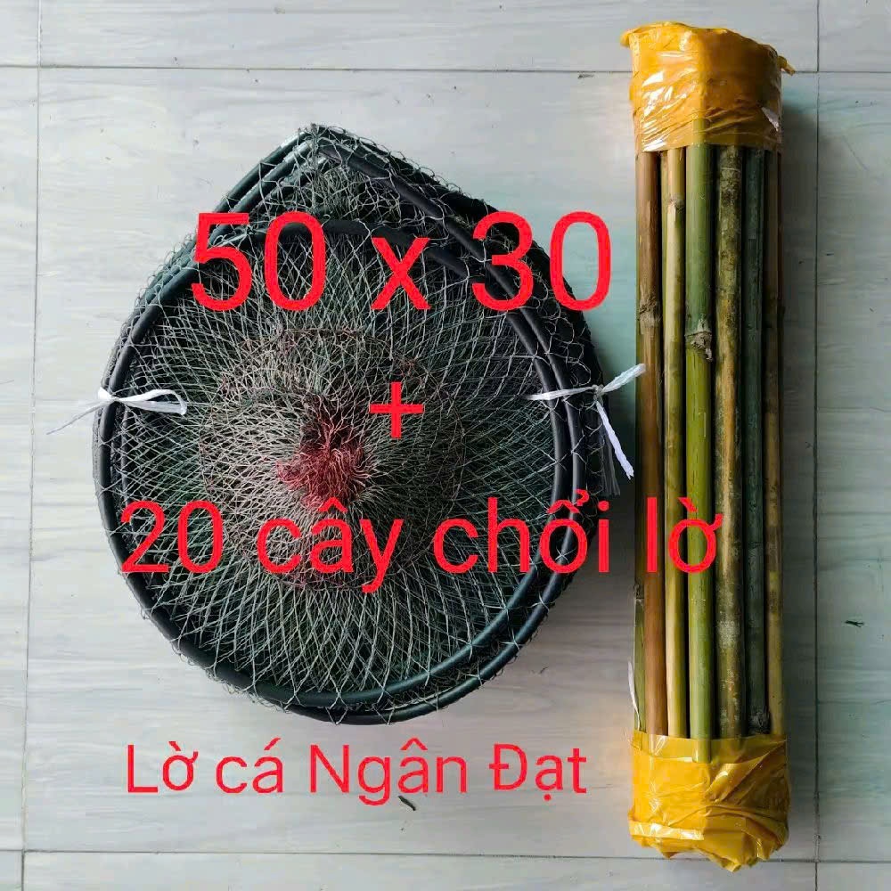 Lờ cá lóc COMBO 10 cái của Lờ cá Ngân Đạt được làm từ vành 8 LY_ Hôm độ 4 nhuộm sắn KÈM 20 cây chổi
