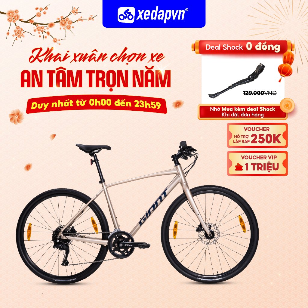 Xe Đạp Đường Phố TOURING GIANT Escape 1 Disc 2024 – 700C, Phanh Đĩa, 9 Tốc Độ – Phù Hợp Người Cao 1m