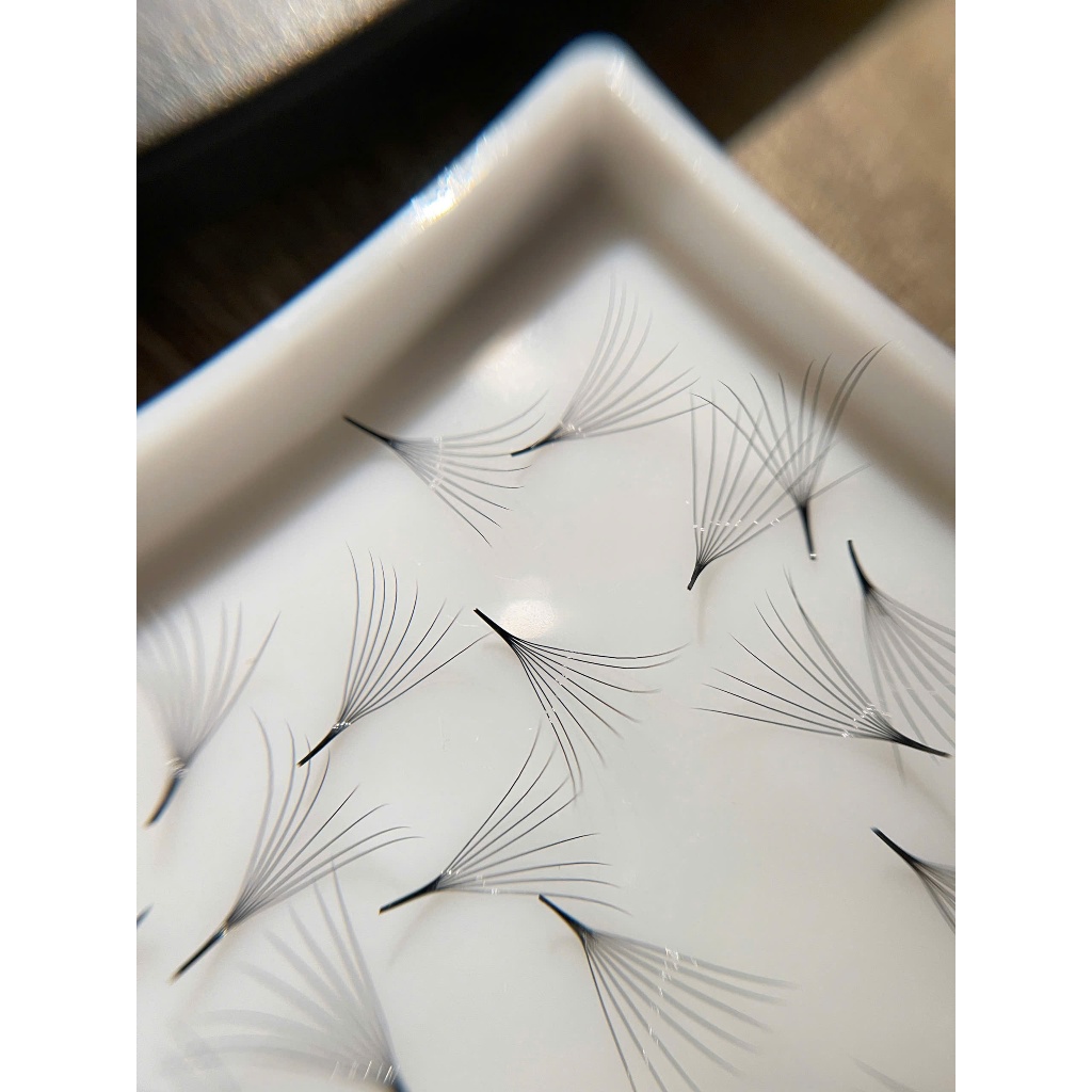 Mi fan sẵn 8D dày 0.05_cong C-CC-D_hộp 500-1000fan - 8d mi fan xuất khẩu_Mi Fan Women Cosmetic Nữ Tr