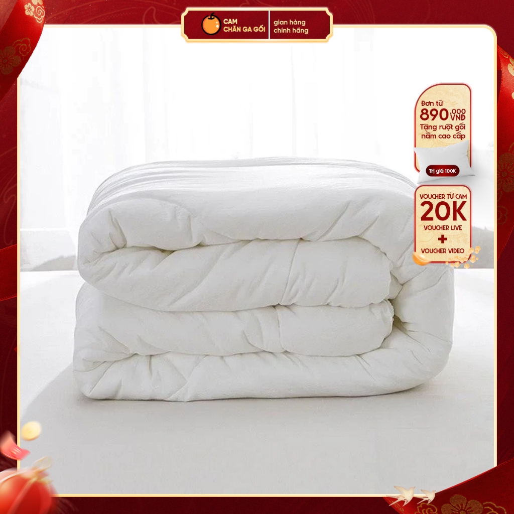 Ruột chăn 2m x 2m2, ruột chăn mùa đông và ruột chăn bông mùa đông, mềm mịn thoải mái - CAM CHĂN GA G