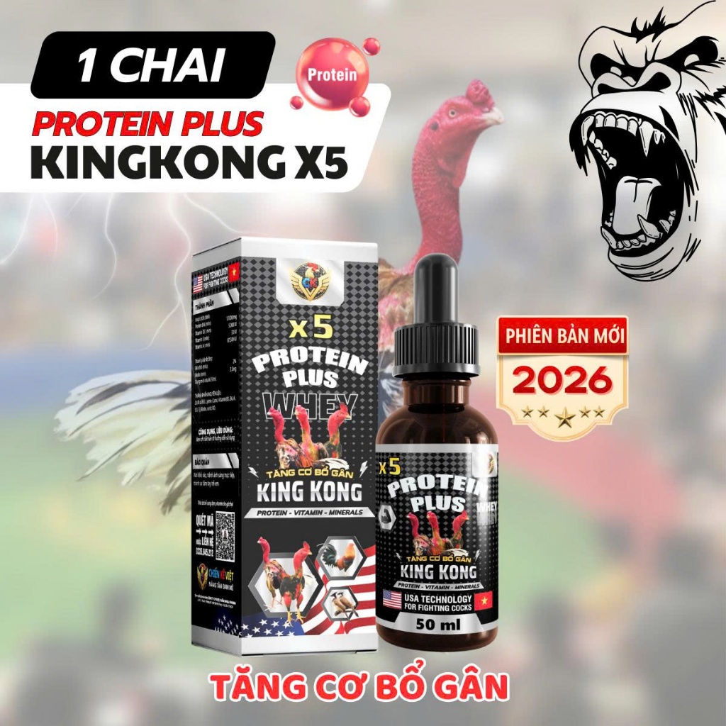 KINGKONG X5 Protein Plus Tăng Cơ Bổ Gân Cho Gà Chọi Lên Cơ Nhanh, Gân Chắc Phiên Bản Mới 2026 (50ml)